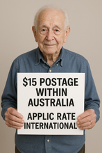 Load image into Gallery viewer, Flying up wall ducks