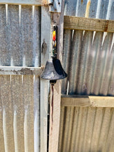 Load image into Gallery viewer, "LAST DRINKS" - Guinness BAR or Door Bell "Time Gentlemen PLEASE"