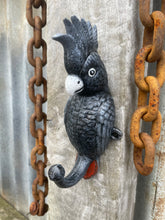 Load image into Gallery viewer, Red-tailed black cockatoo cast iron coat hook