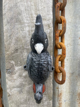 Load image into Gallery viewer, Red-tailed black cockatoo cast iron coat hook