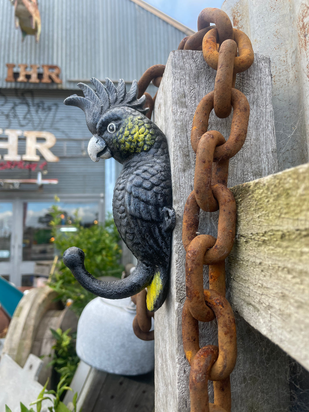 Yellow-tailed black-cockatoo coat hook cast iron