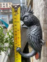 Load image into Gallery viewer, Red-tailed black cockatoo cast iron coat hook
