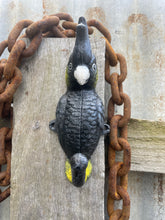 Load image into Gallery viewer, Yellow-tailed black-cockatoo coat hook cast iron
