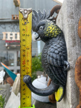 Load image into Gallery viewer, Yellow-tailed black-cockatoo coat hook cast iron
