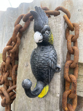 Load image into Gallery viewer, Yellow-tailed black-cockatoo coat hook cast iron
