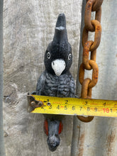 Load image into Gallery viewer, Red-tailed black cockatoo cast iron coat hook
