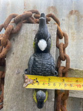 Load image into Gallery viewer, Yellow-tailed black-cockatoo coat hook cast iron
