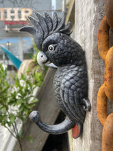 Load image into Gallery viewer, Red-tailed black cockatoo cast iron coat hook
